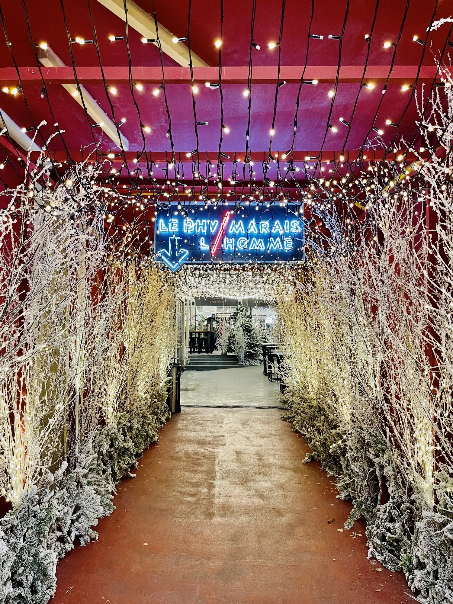 Façade parisienne décorée pour Noël