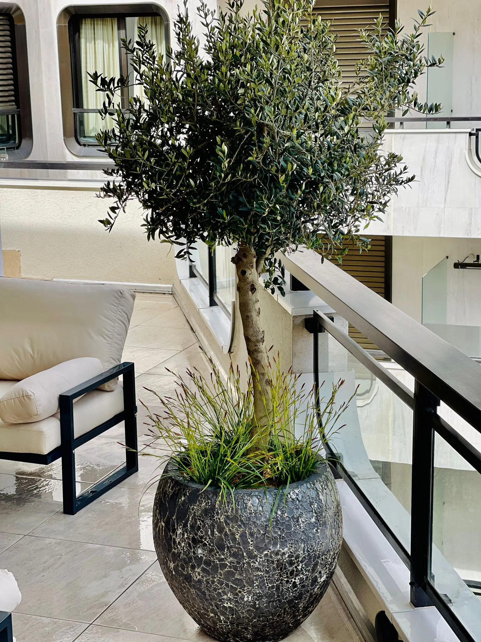 Jardin urbain réalisé par l’atelier