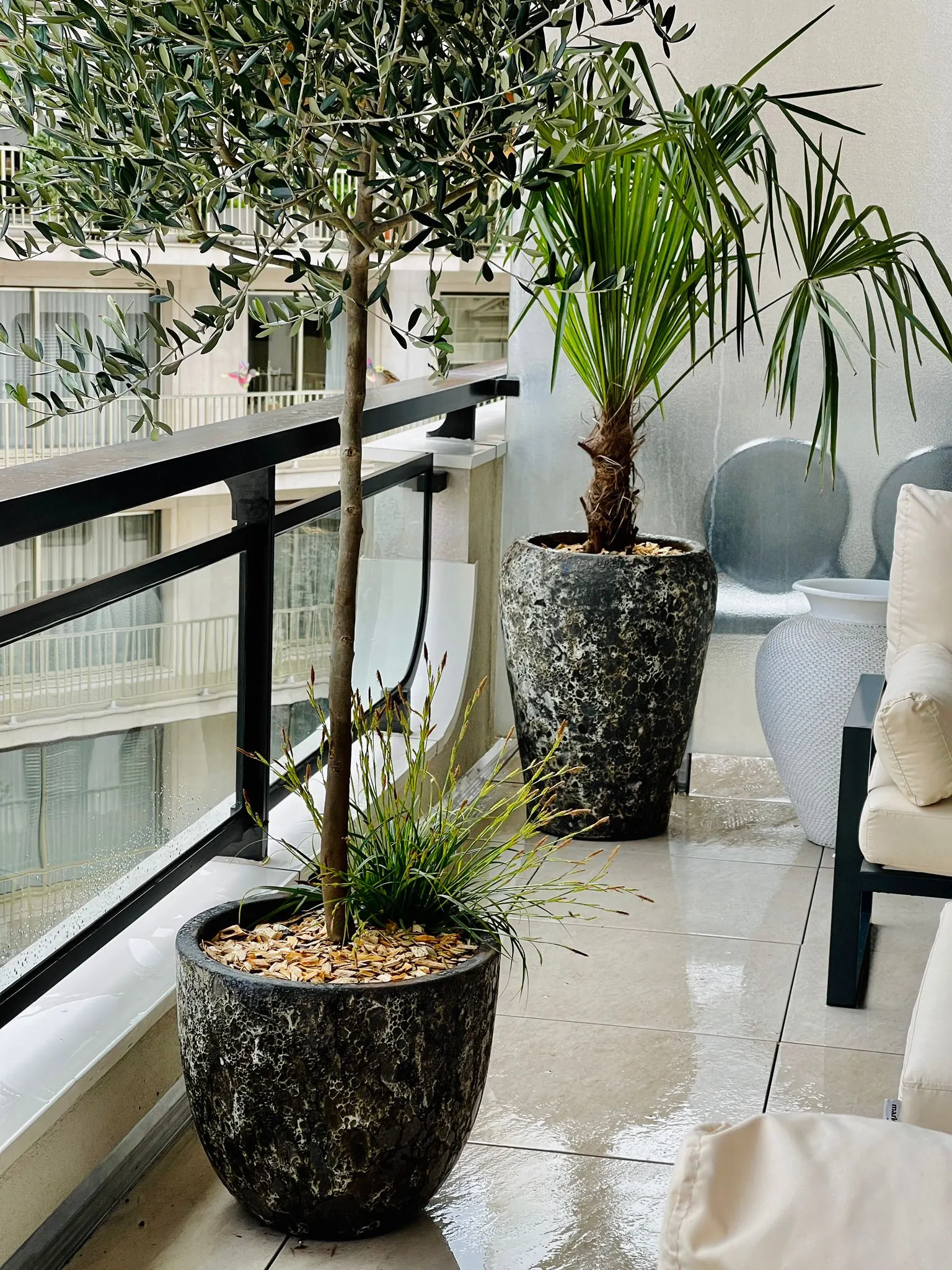 Terrasse Saada — vue d’ensemble