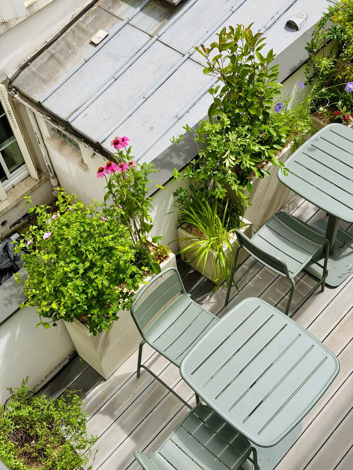 Terrasse vue de haut : bacs d’échinacées et d’hibiscus le long du garde-corps
